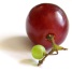 Grape