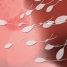human sperm