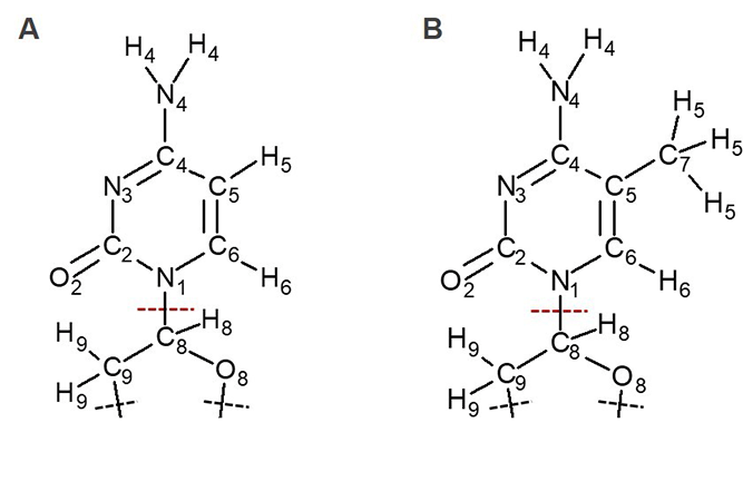 The chemical structure of cytosine and 5-methylcytosine