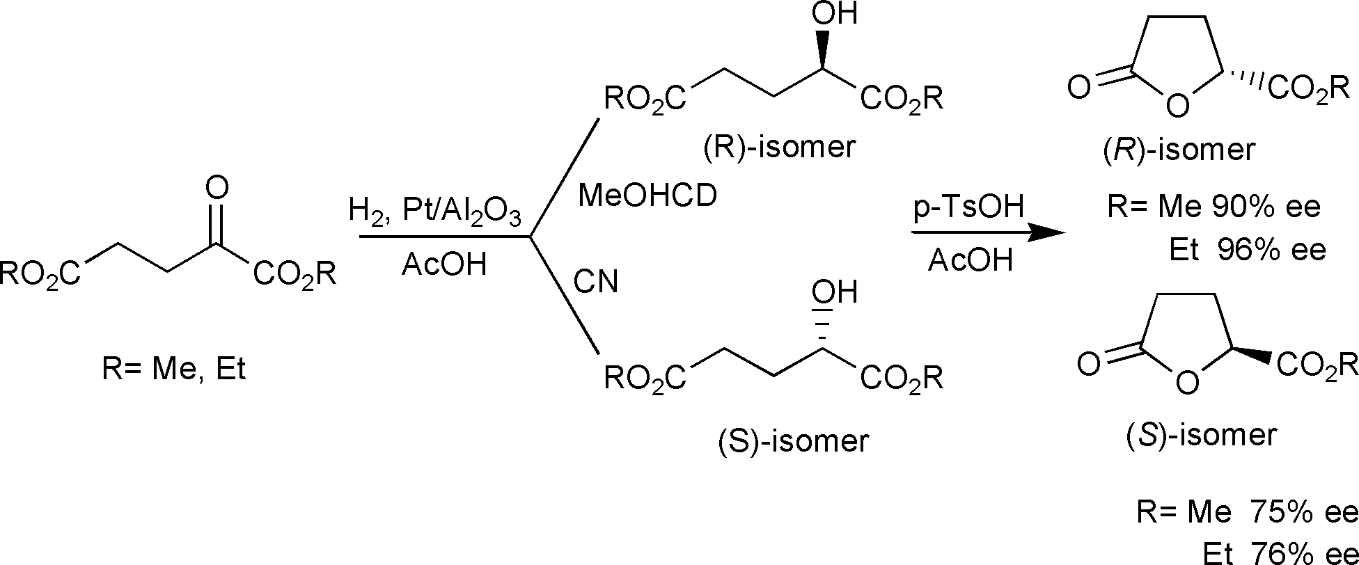 {Scheme 1}