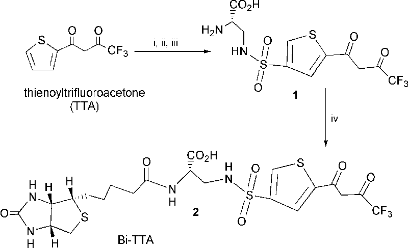 {Scheme 3}