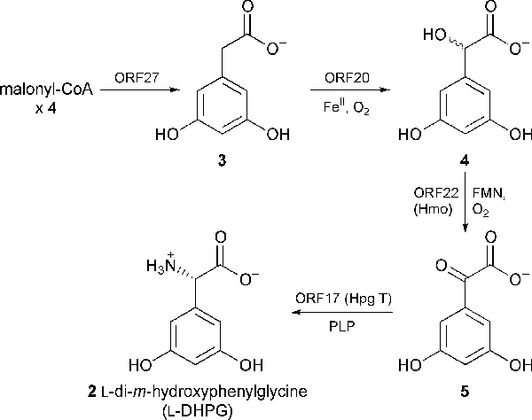 {Scheme 1}