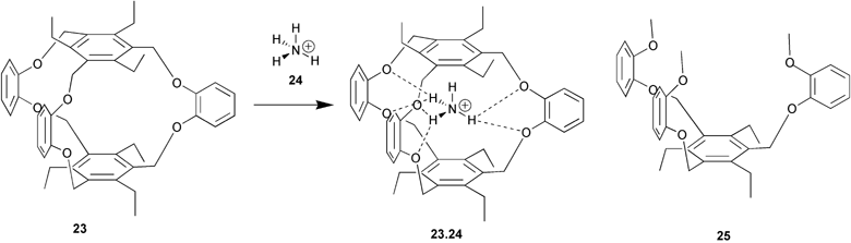 {Figure 13}