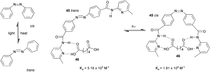 {Figure 24}